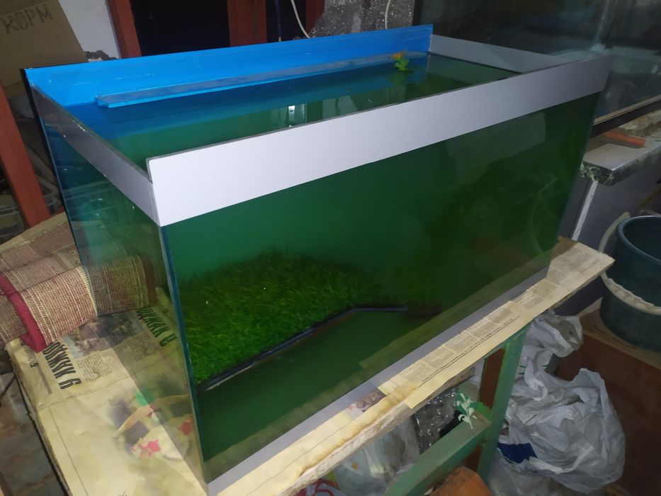 Аквариум с сушей для черепах.