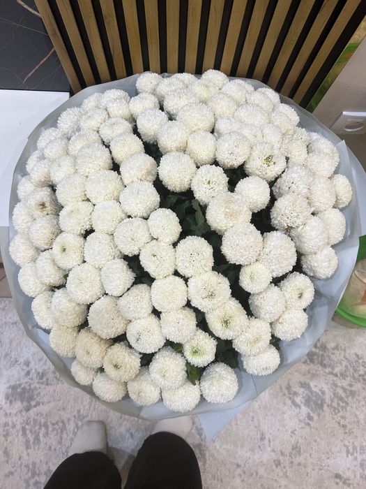 101шт момоки , утренние . Свежие