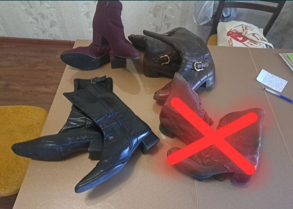 Женские сапоги тёплые и демисезонные