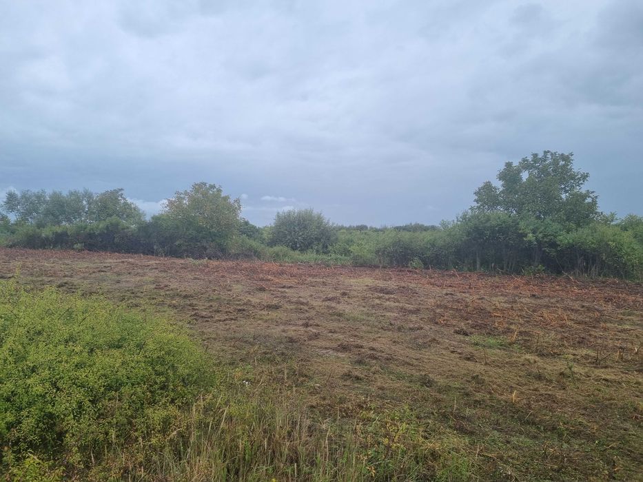 Curatare,defrisare teren, ploaia ajuta si la pret si la defrisare!