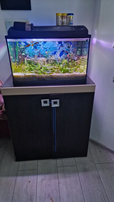 Vând acvariu  complet