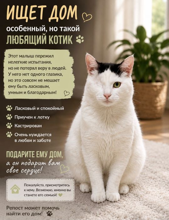 Отдам в добрые ручки