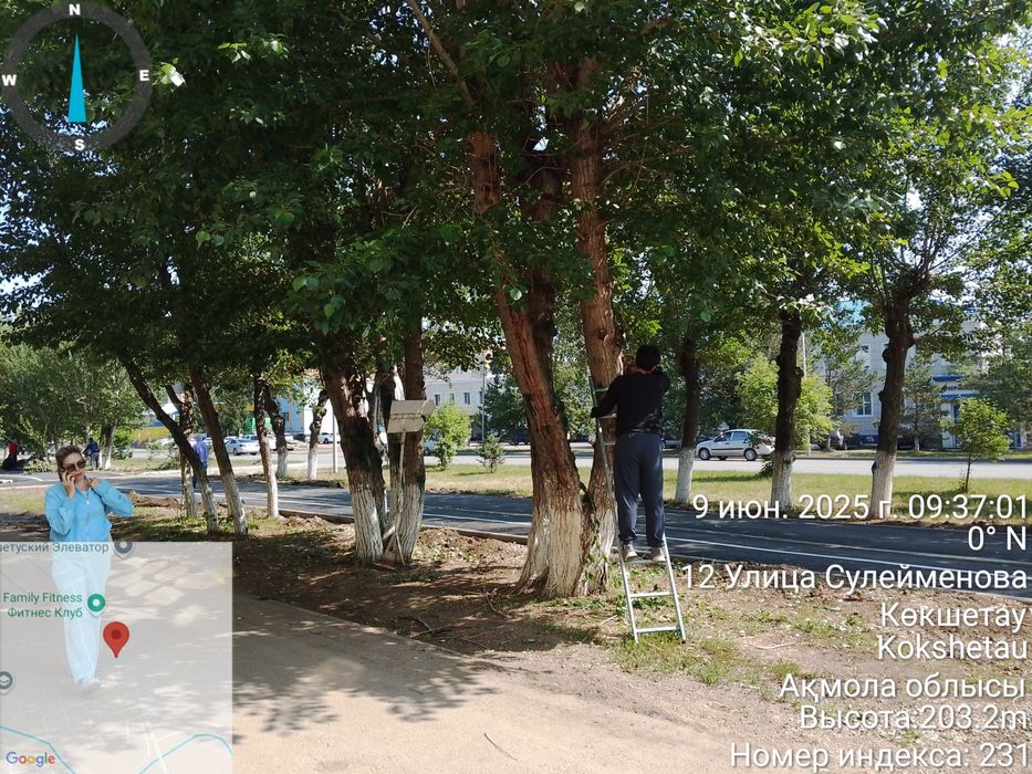 Кронирование,спил деревьев.