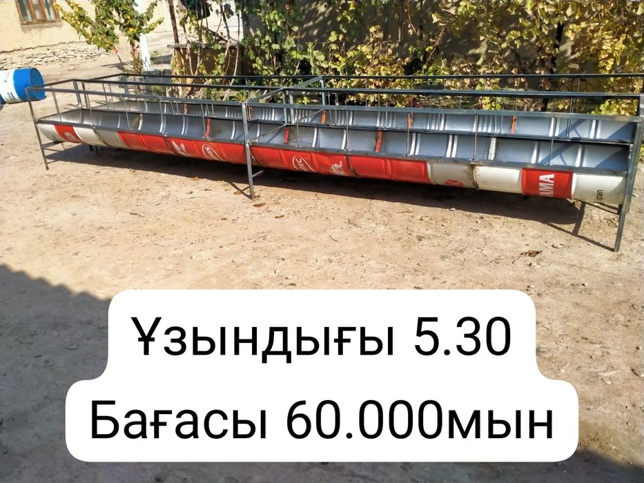 Астау Науа кормушка