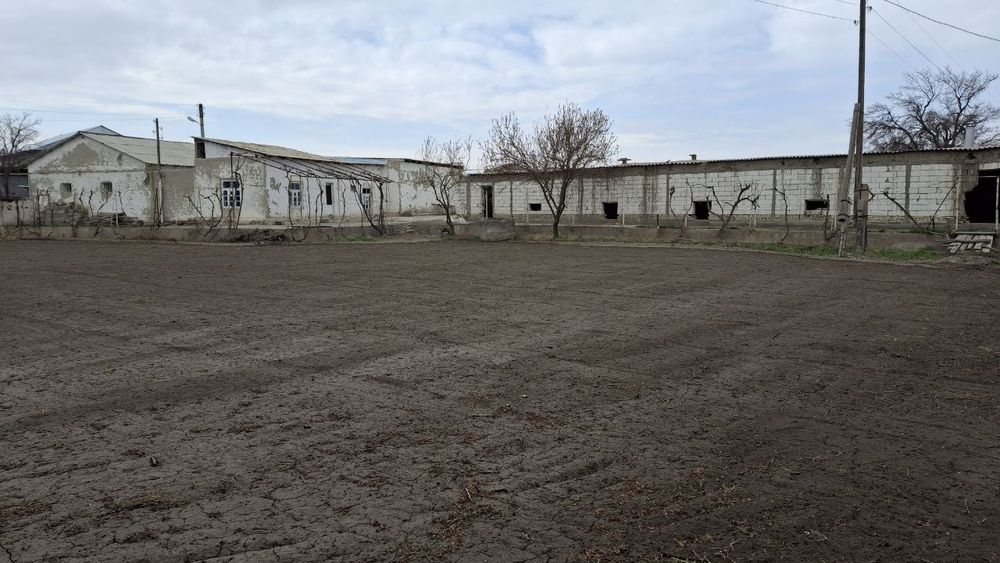 Noturar yer maydoni va bino (Romitanda)