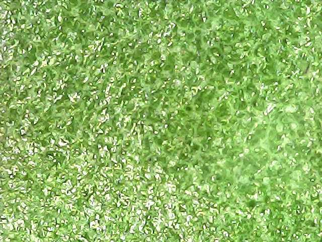 Цифровой Микроскоп, х1600, digital microskop,USB, мобильный,компьютер