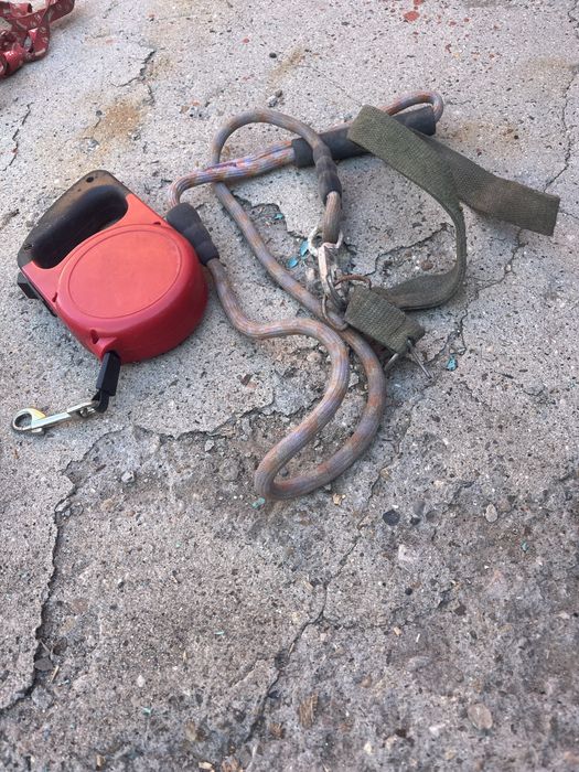 Аксессуары для собак