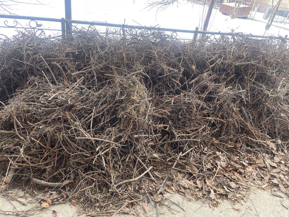 Отын/шыбық/ағаш/т.б