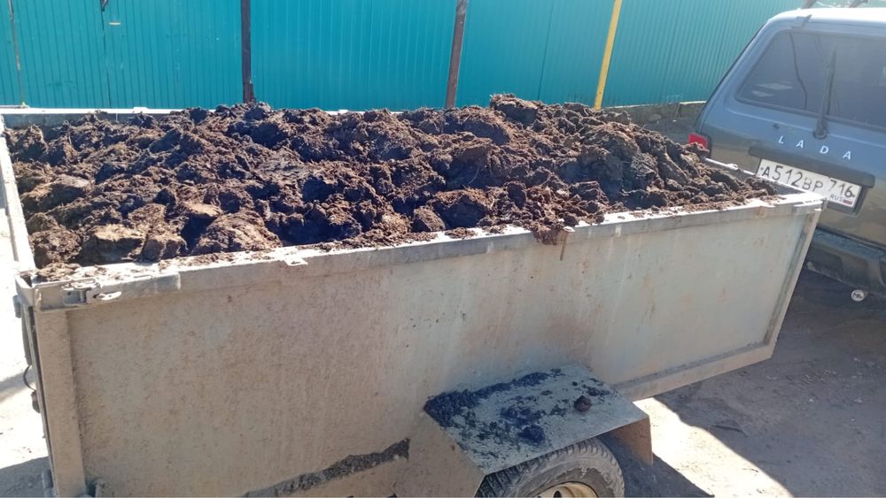 Продам перегной 10000