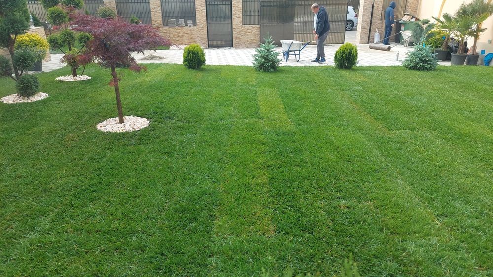 Amenajări grădini sisteme de irigare profesionale Plante ornamentale