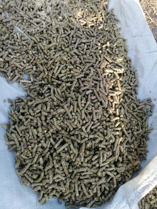 Гранулы сена разнотравие луговое