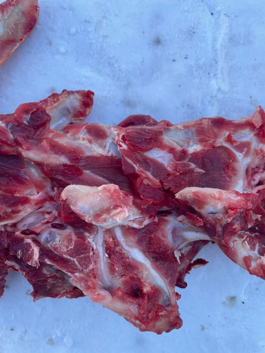 Кости для собак