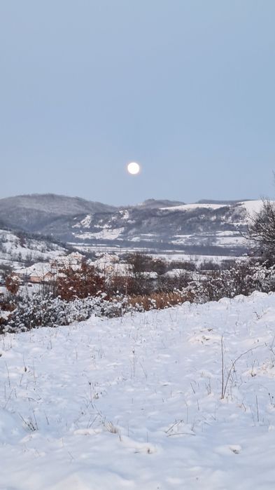 Cabana de inchiriat cu piscina, jacuzzi., ciubar.