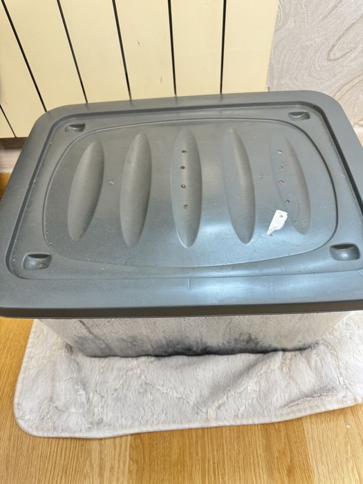 Продам сухопутная черепаху