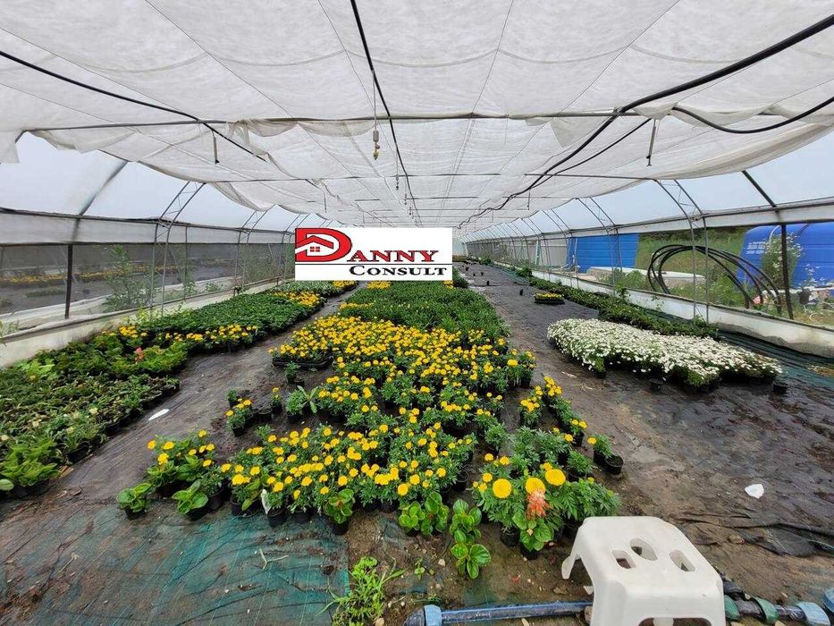 Дворно място с оранжерии в с. Михалци