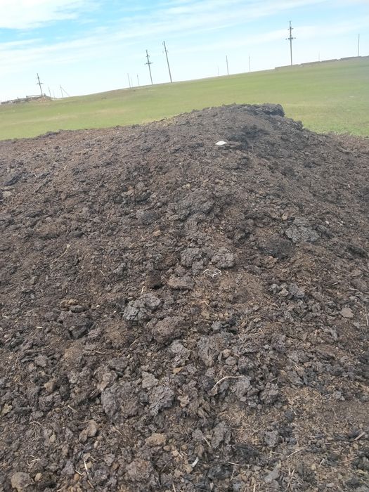 Продажа перегноя