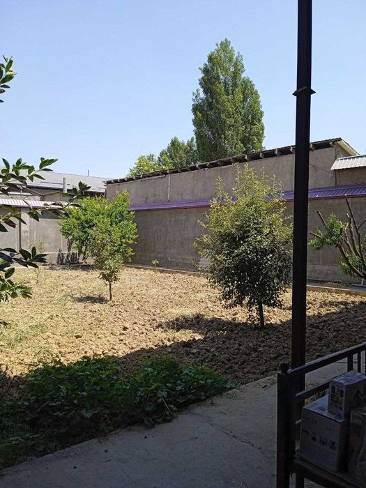 Hovli 6 sotix Oltintepa