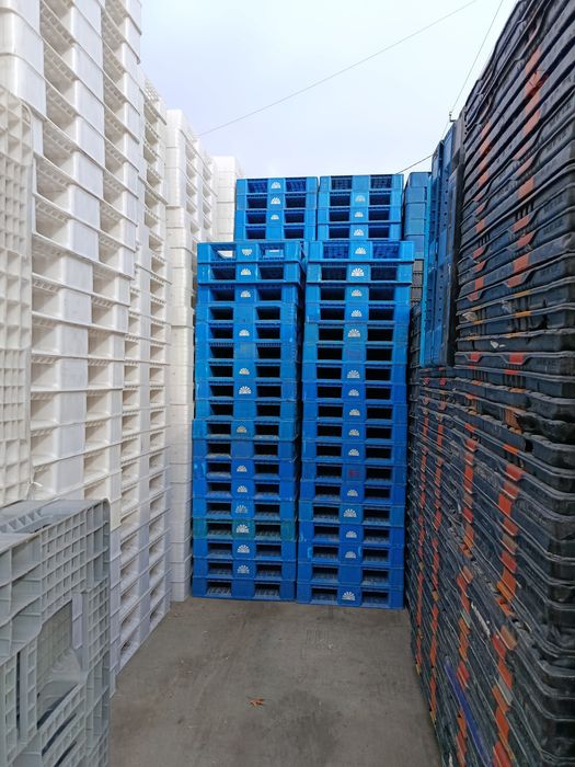 Поддон Паддон sotiladi