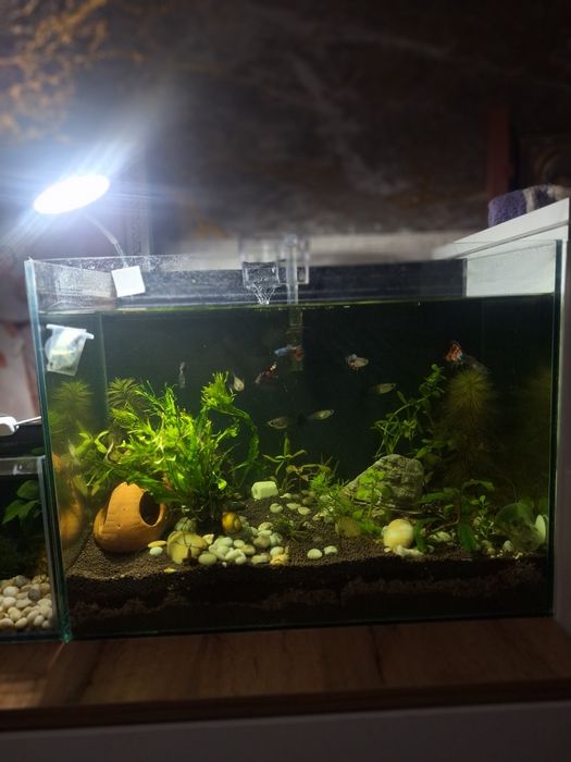 Продам Аквариум 32 литра!