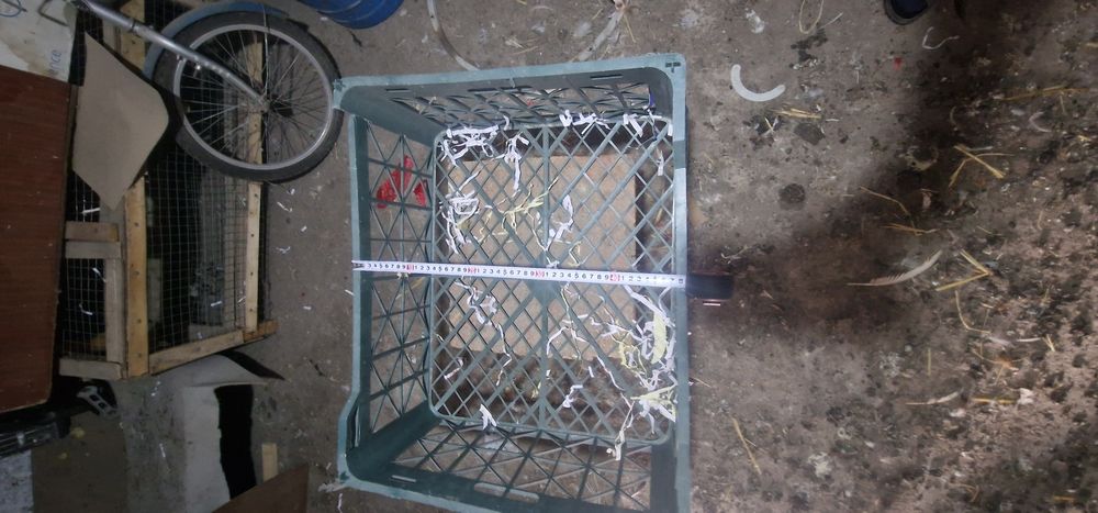 Продам Ящики для всего.