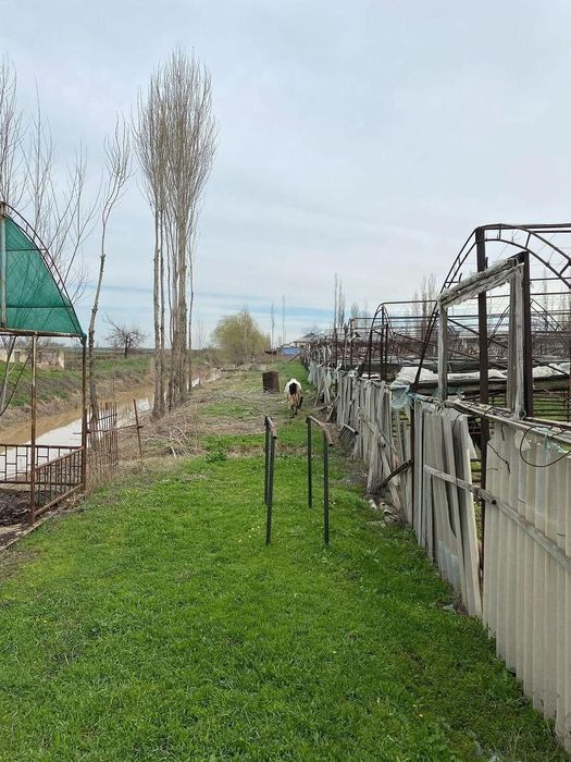 Йер сотилади теплица 1 гектар,оккургонда центрда.
