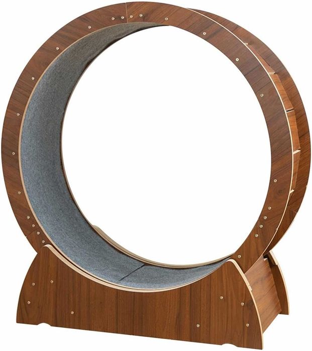 Колело - бягаща пътека за котки