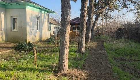 Casa batraneasca cu teren ciocanesti 1296mp
