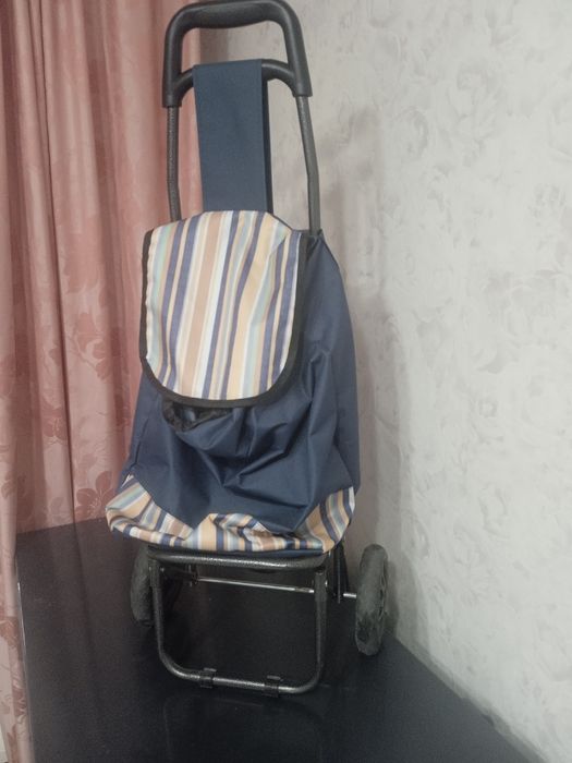 Сумка на колёсах. Сумка коляска