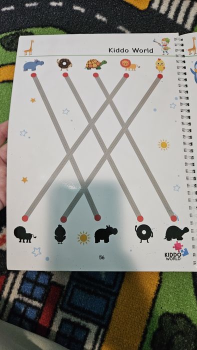 Caiet si fise scrie si sterge pt copii