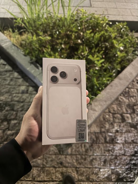 iPhone 17 pro silver