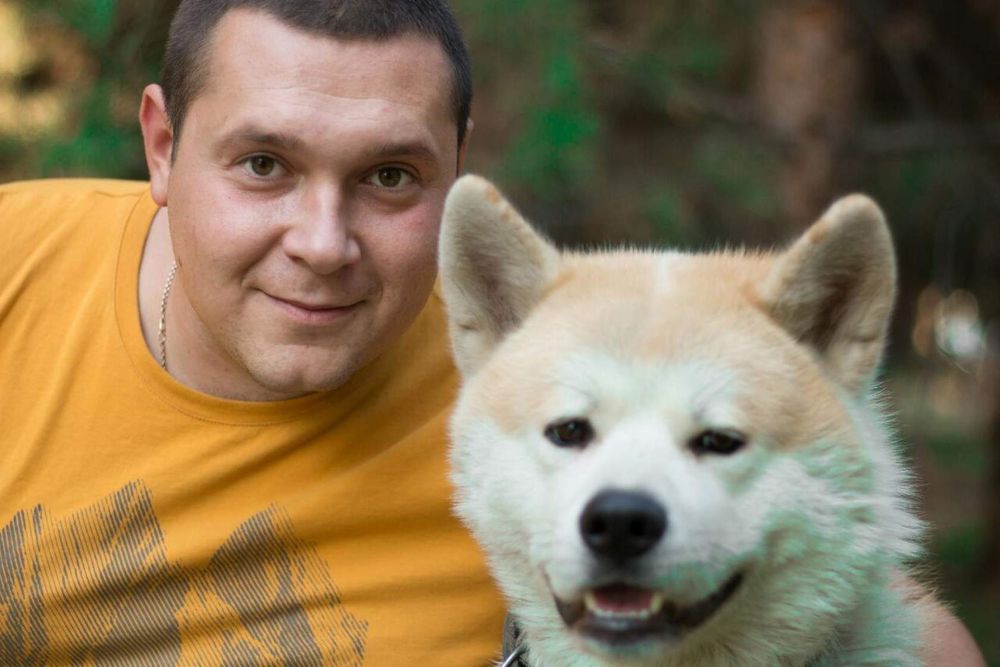 Акита ину на вязку