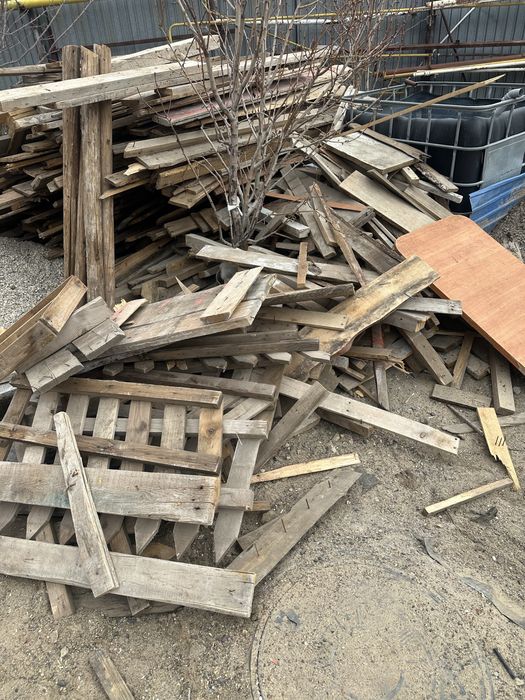 Дрова даром отынга