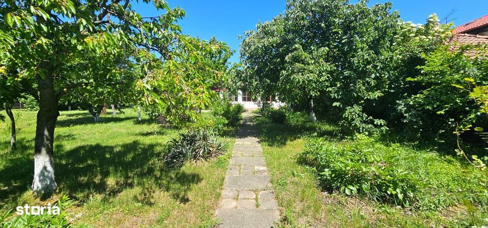 RARA AVIS! Teren 1550 mp, deschidere 31 m, zona Ferme, Otopeni