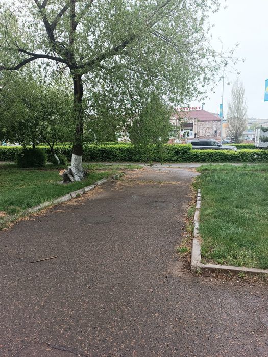 Продам офис в центре города