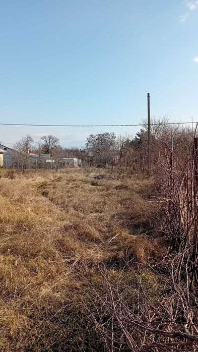 Teren intravilan 1200 mp  Gura Ocnitei