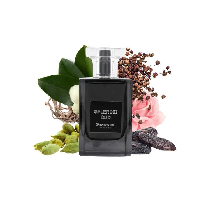 Paris Corner Pendora Scents Splendid Oud 100ml made in Dubai