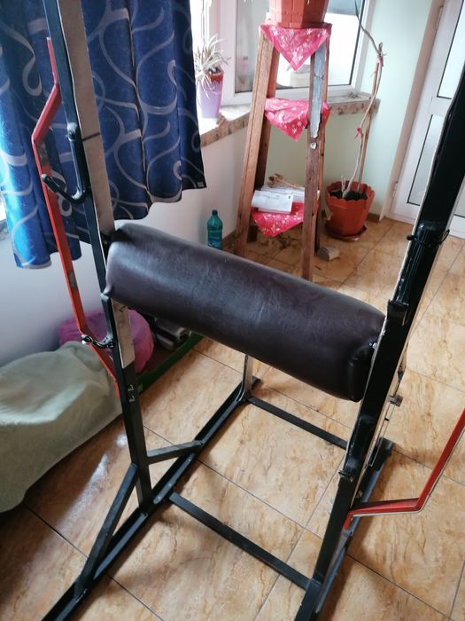 Stativ multifuncțional + Scott biceps