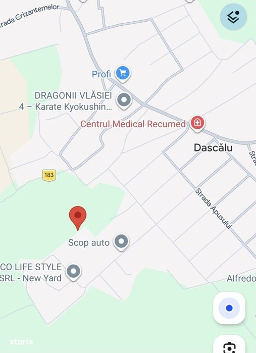 Teren intravilan 9800 mp - Dascalu - locuinte individuale