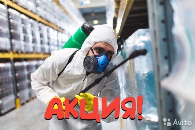 Дезинфекция квартир от клопов и тараканов