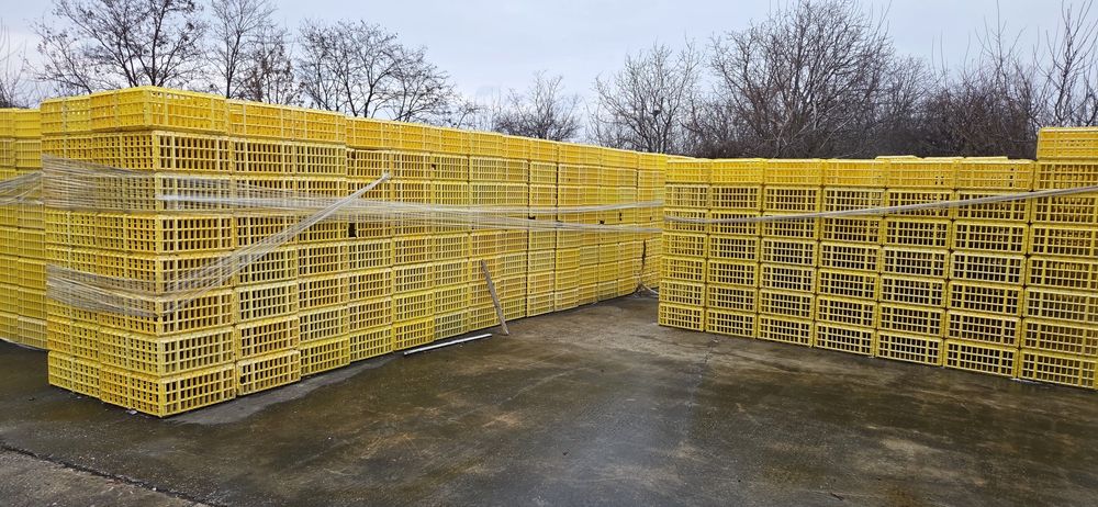 Cusca transport păsări, gaini ,pui.