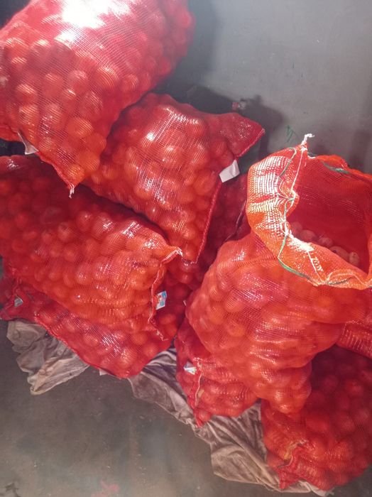 Картофель продам