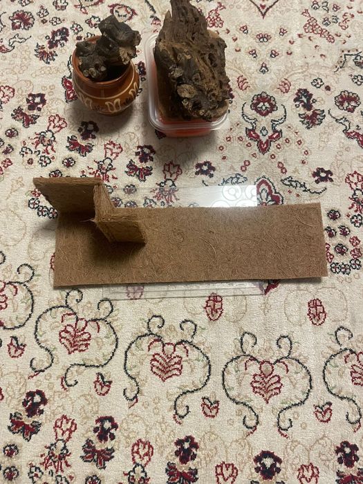 Террариум для рептилий