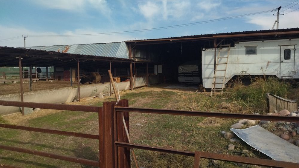 Дом, 50 соток земли.