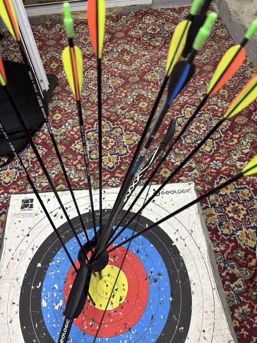 лък за стрелба с 12 бр стрели.