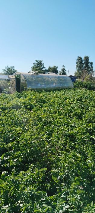 Продам дачный участок