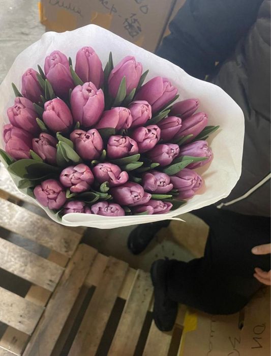 Тюльпаны Экстра+ оптом