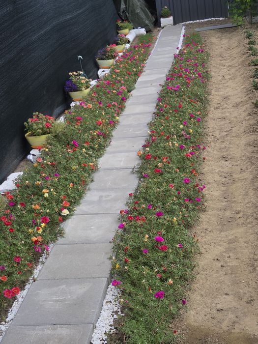 Casa de vanzare Jibou