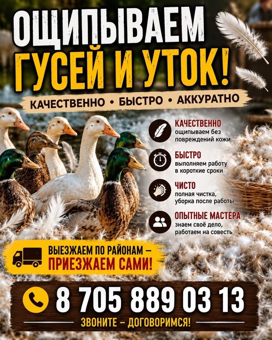 Обработка гусей ощип