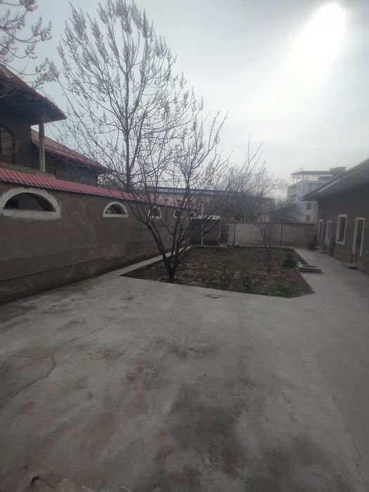 Jizzax shahar Doʻstlik mahallasiida hovli
