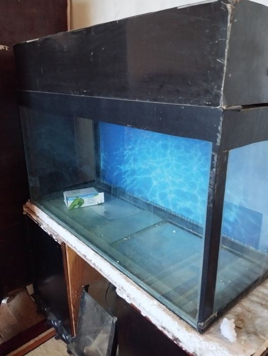 200litrlik akvarium tek ozi